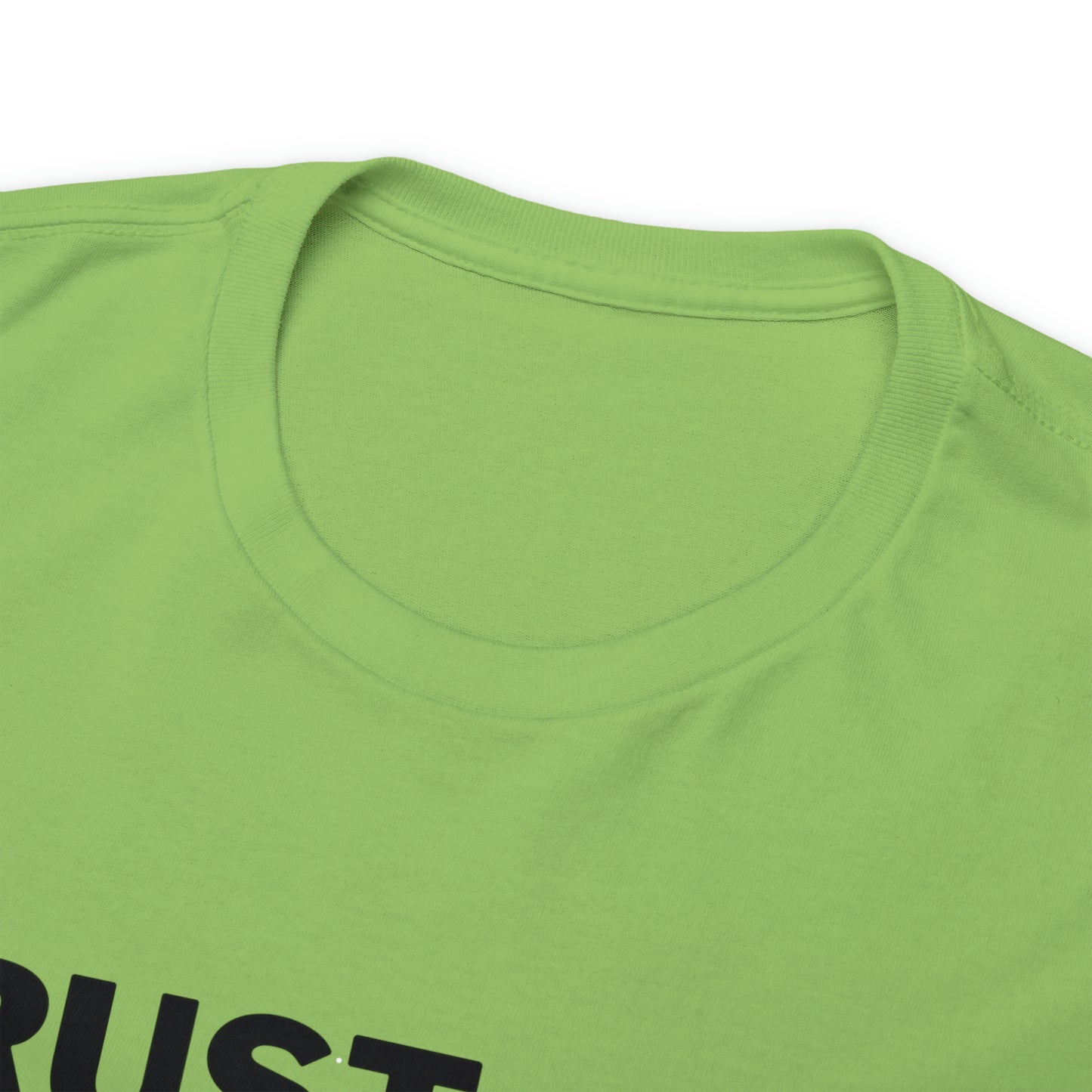Trust God Bro, I am the Way, the truth, the life Funny Meme Bible Verse Unisex Heavy Cotton Tee