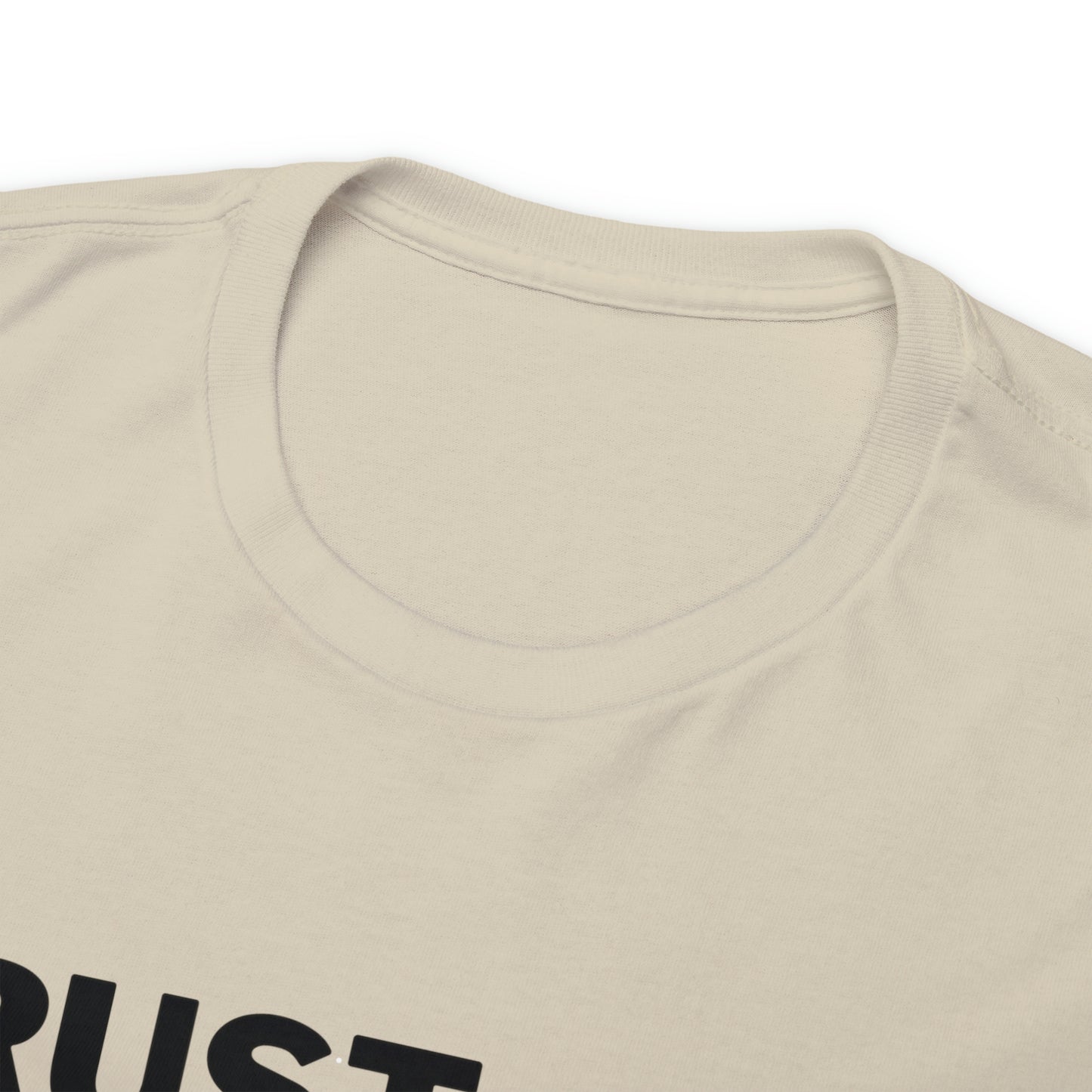 Trust God Bro, I am the Way, the truth, the life Funny Meme Bible Verse Unisex Heavy Cotton Tee
