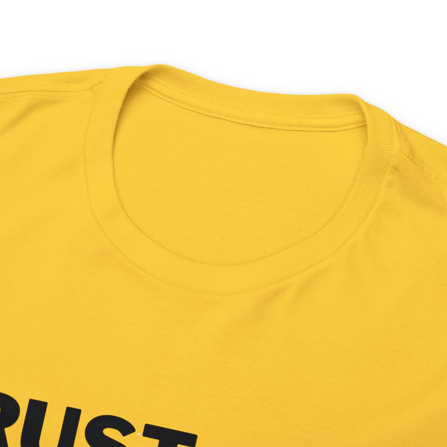 Trust God Bro, I am the Way, the truth, the life Funny Meme Bible Verse Unisex Heavy Cotton Tee