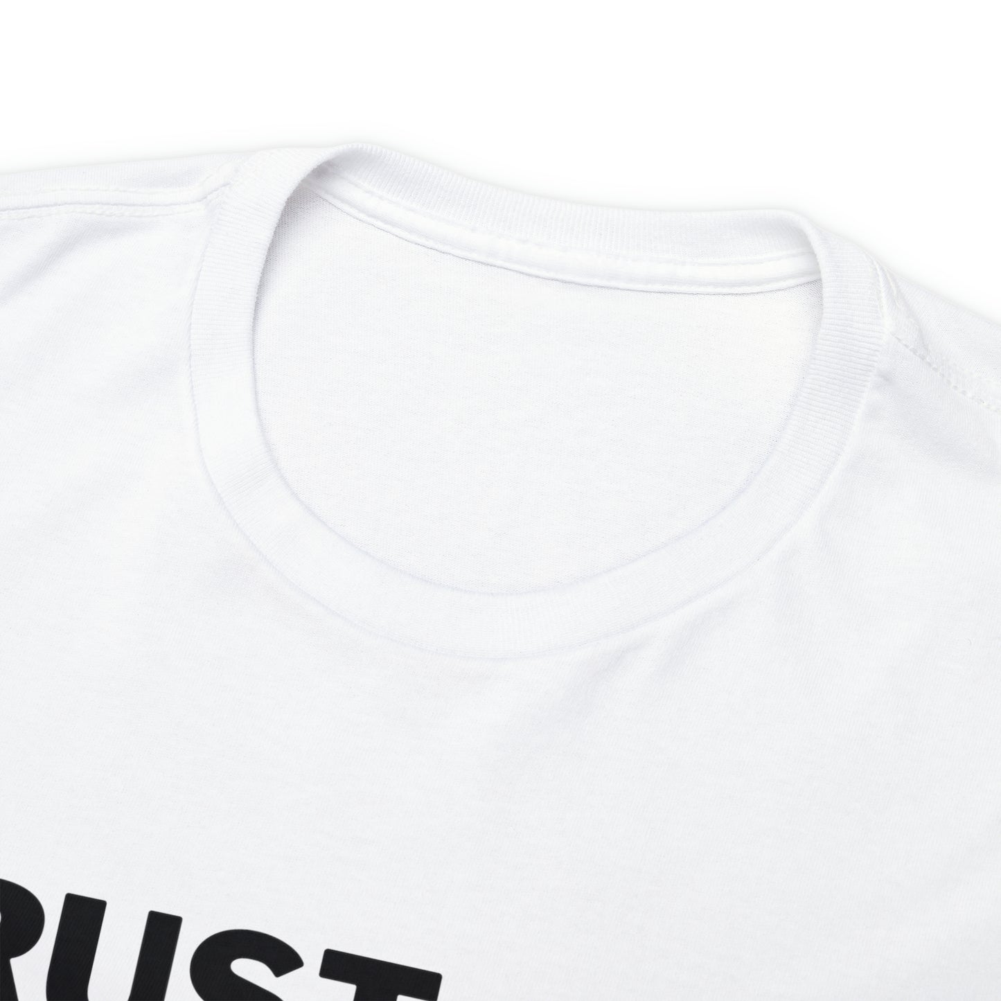 Trust God Bro, I am the Way, the truth, the life Funny Meme Bible Verse Unisex Heavy Cotton Tee